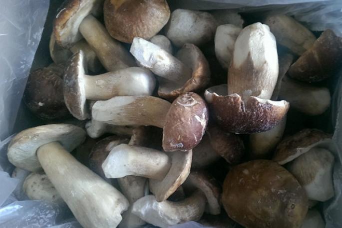 How to freeze mushrooms for the winter - rules you need to know