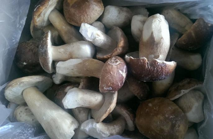 How to freeze mushrooms for the winter - the rules you need to know