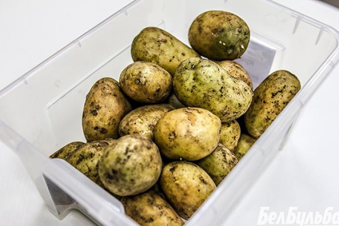 Bulvių priežiūra žydėjimo metu ir po jo Kaip purkšti bulves žydėjimo metu